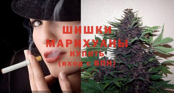 spice Липки