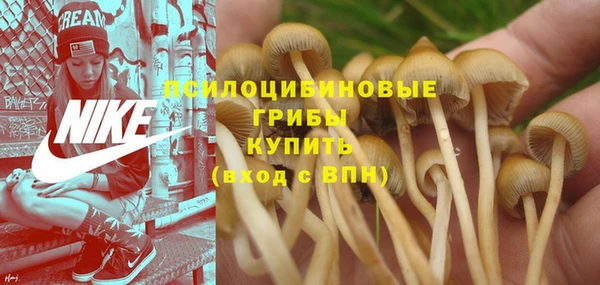spice Липки