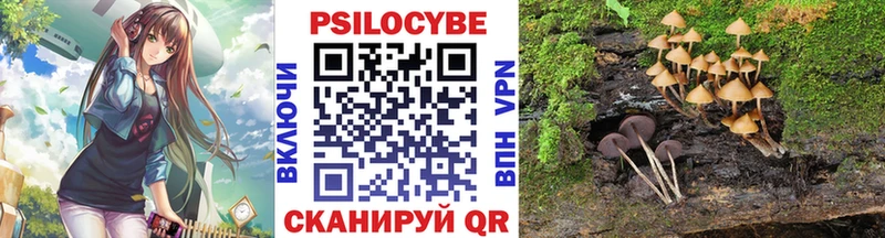 Галлюциногенные грибы прущие грибы  Петропавловск-Камчатский 
