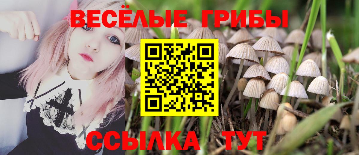 Петропавловск-Камчатский  Псилоцибиновые грибы Cubensis  Вход с VPN  Псилоцибиновые грибы мицелий 