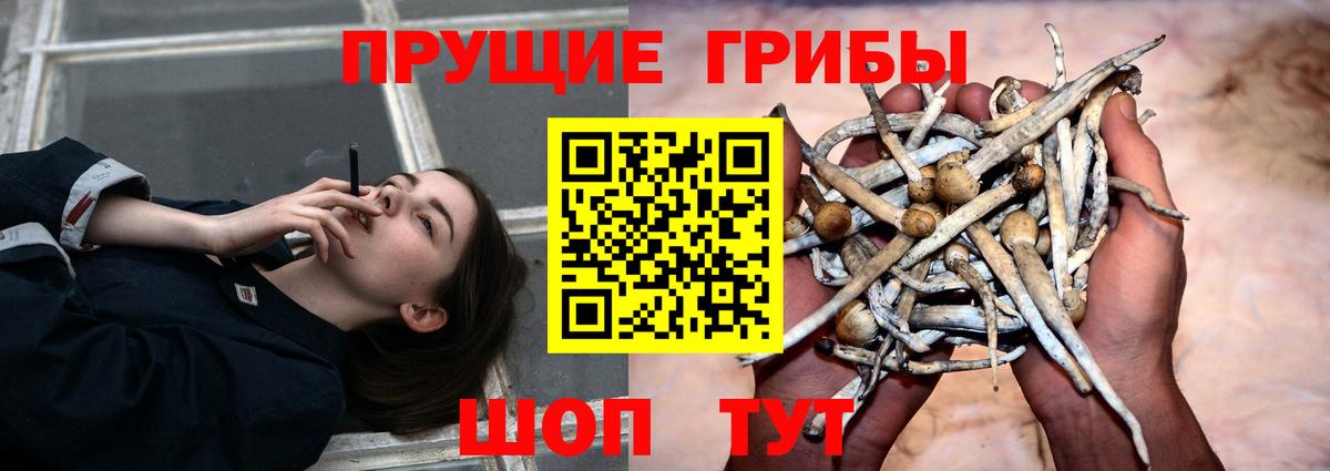 Галлюциногенные грибы Cubensis Петропавловск-Камчатский